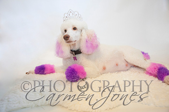 maternity addelynnIMG_9318
