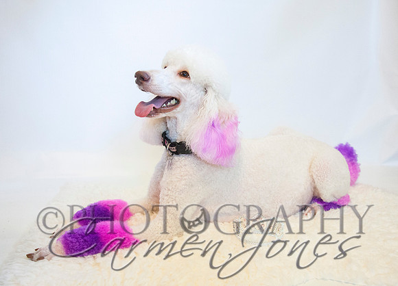 maternity addelynnIMG_9325