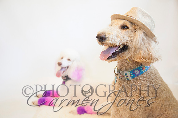 maternity addelynnIMG_9407