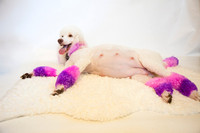 maternity addelynnIMG_9292