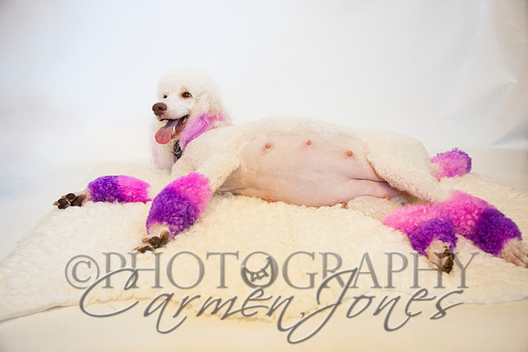 maternity addelynnIMG_9292