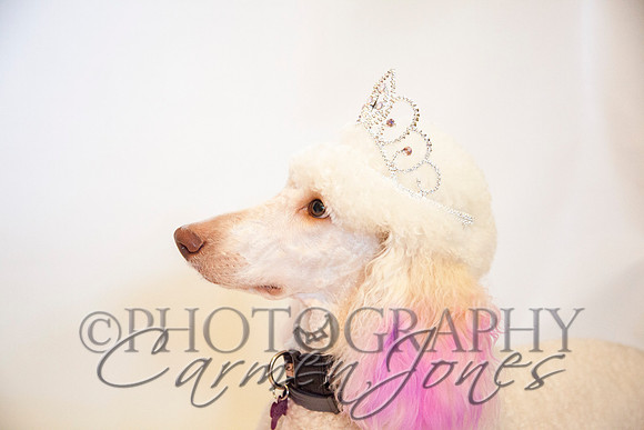 maternity addelynnIMG_9283