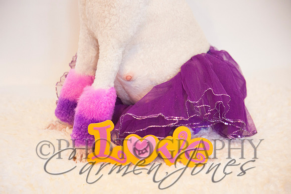 maternity addelynnIMG_9363