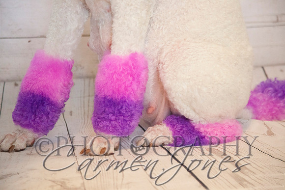 maternity addelynnIMG_9272