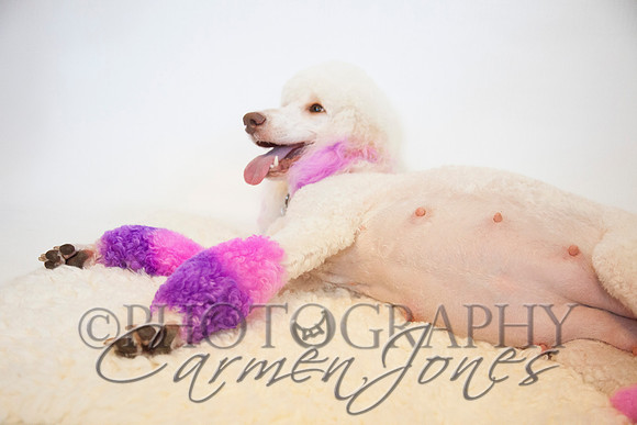 maternity addelynnIMG_9297