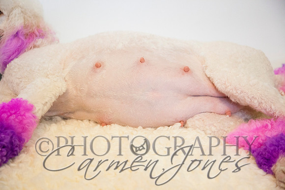 maternity addelynnIMG_9295