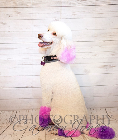 maternity addelynnIMG_9265