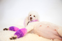 maternity addelynnIMG_9299