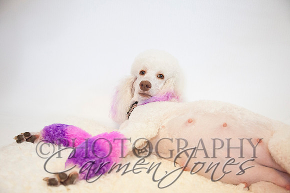 maternity addelynnIMG_9299