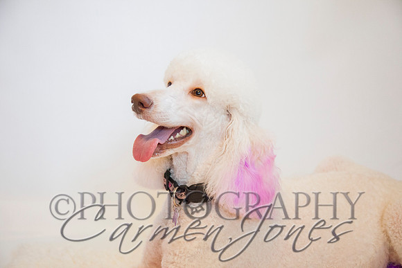 maternity addelynnIMG_9329