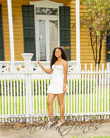 L_Sims25_1341