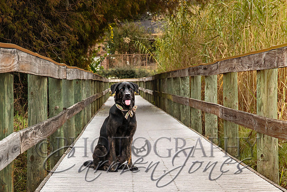 timmons_IMG_031