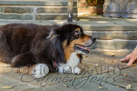 sunny_2026_IMG_0088