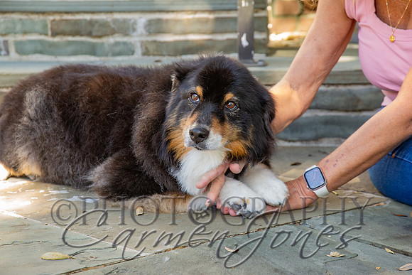 sunny_2026_IMG_0075