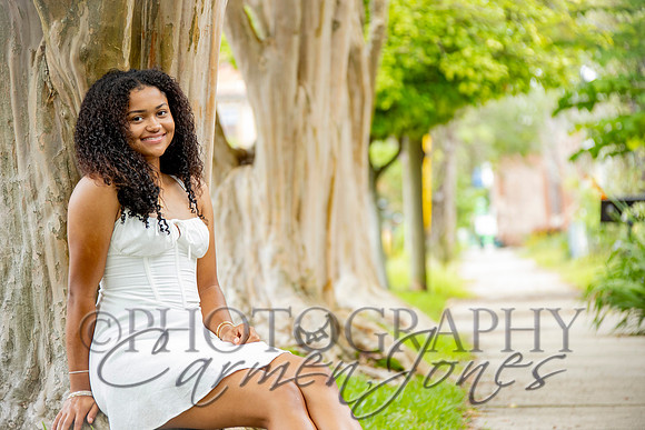 L_Sims25_1339