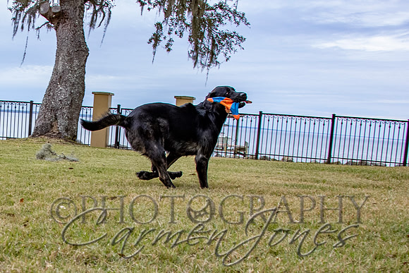 timmons_IMG_118