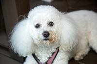 addie_2026_IMG_0007