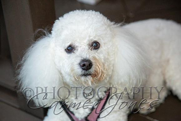 addie_2026_IMG_0007