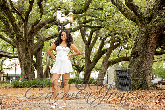 L_Sims25_1319