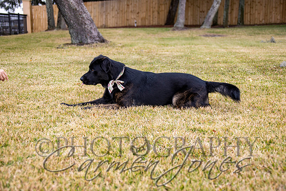 timmons_IMG_085