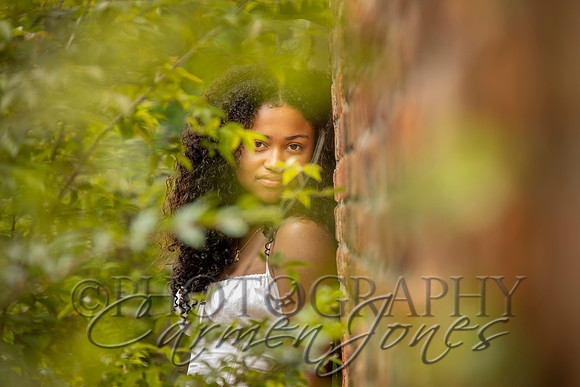 L_Sims25_1393