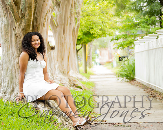 L_Sims25_1333