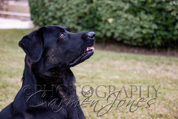 timmons_IMG_091