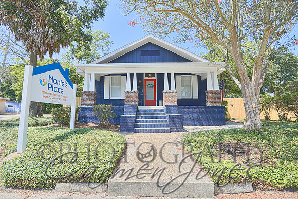 HDR-0319