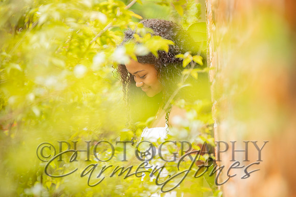 L_Sims25_1402