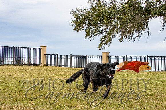 timmons_IMG_101