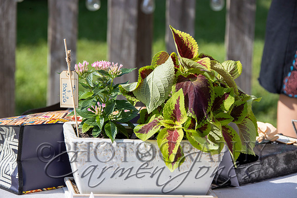 deb&robertIMG_0152_1