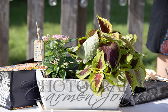 deb&robertIMG_0152