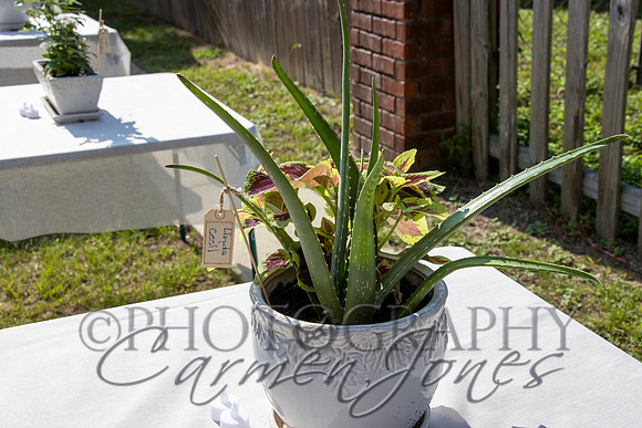 deb&robertIMG_0155_1