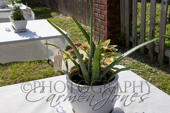 deb&robertIMG_0155