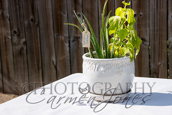 deb&robertIMG_0168_1