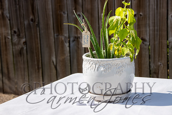 deb&robertIMG_0168
