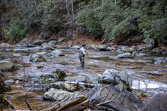nantahala1124_IMG_0671