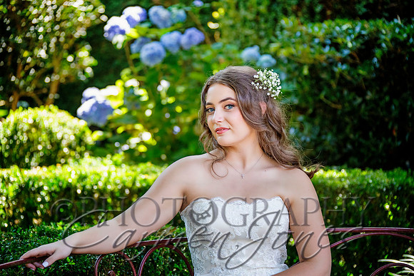 a&p_IMG_0411