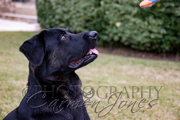 timmons_IMG_092