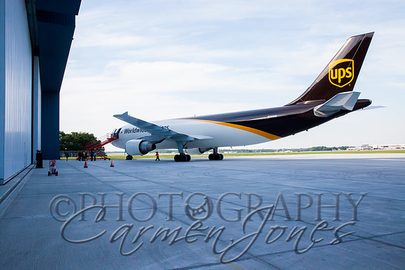 STEngIMG_5191