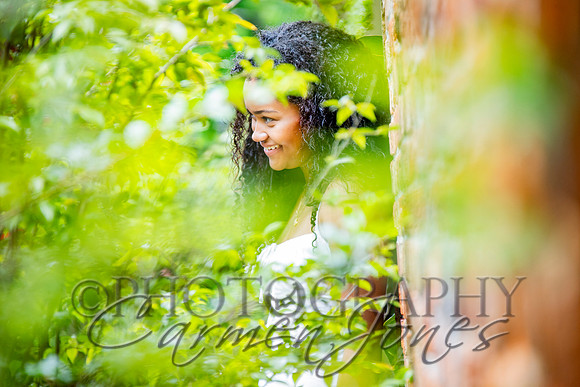 L_Sims25_1400