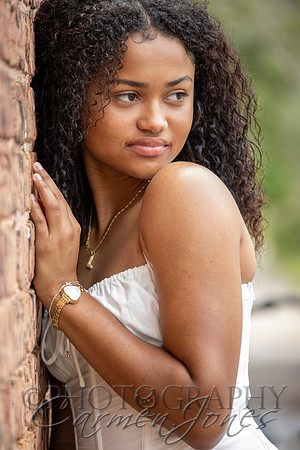 L_Sims25_1371