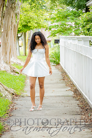 L_Sims25_1328