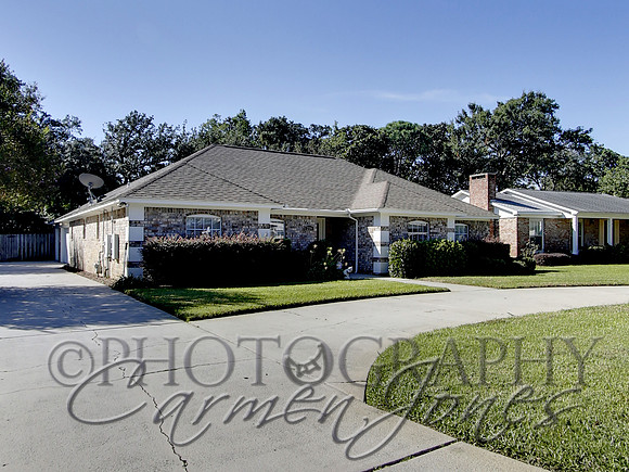 219pinetree0004
