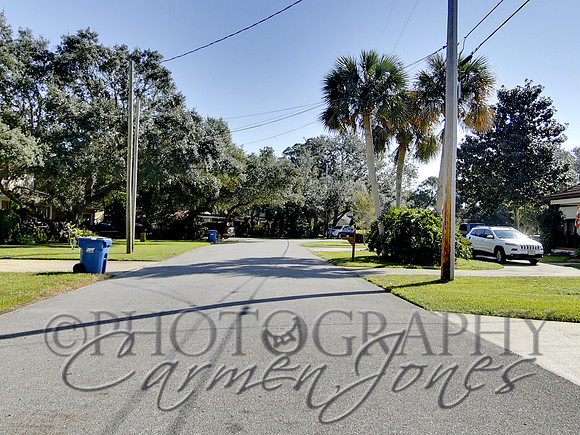 219pinetree0001