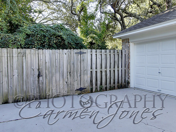 219pinetree0003