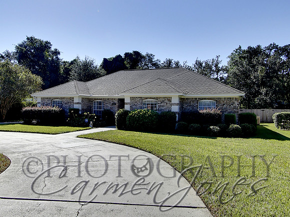 219pinetree0005