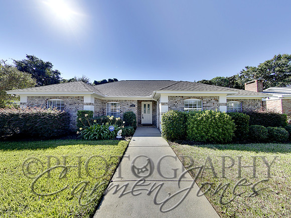 219pinetree0006