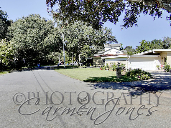 219pinetree0007