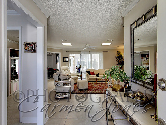 219pinetree0010